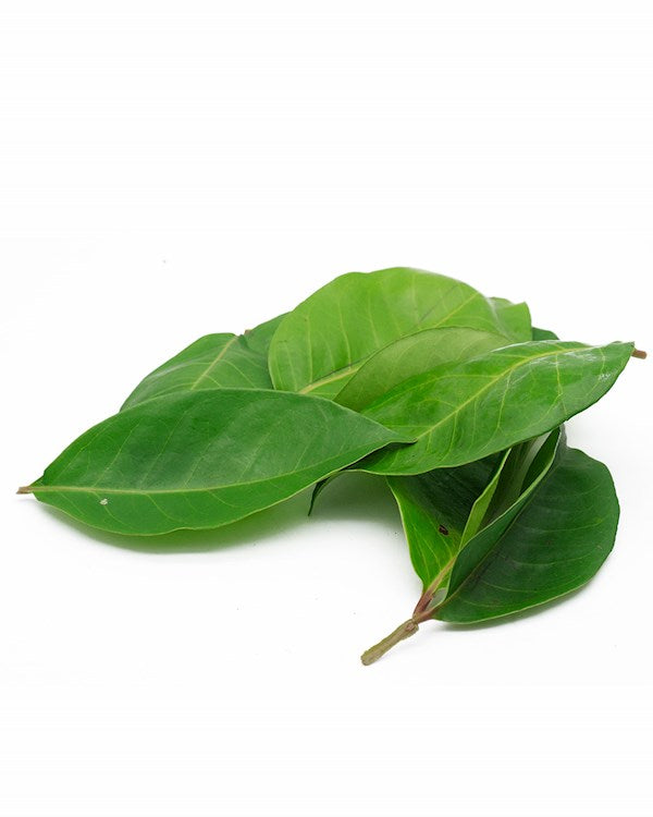 Frozen bay leaf