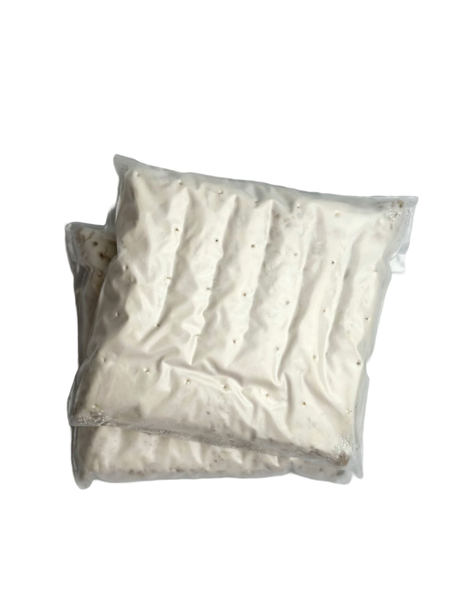 Tempeh (Fermented Soy Bean)